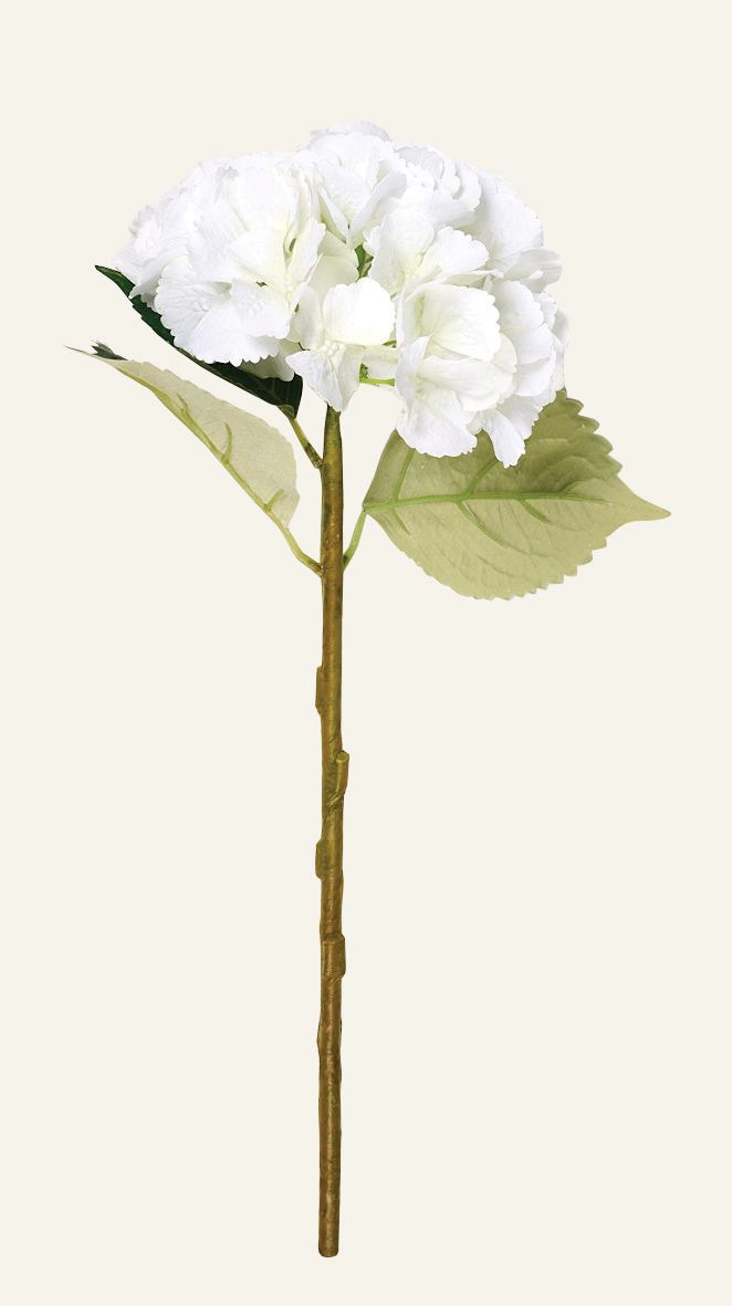 Blume Weiß - 18x18x46 cm Weiß - 1
