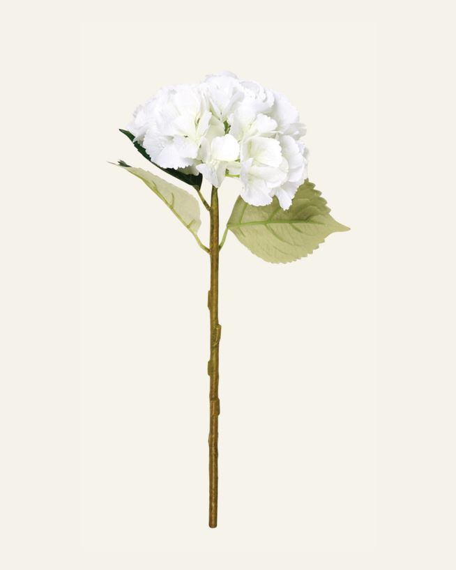 Blume Weiß - 18x18x46 cm Weiß - 1