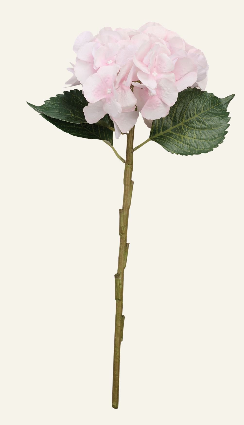 Blume Rosa - 18x18x46 cm Rosa - 1