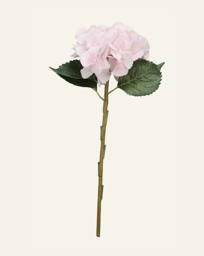 Blume Rosa - 18x18x46 cm Rosa - 1