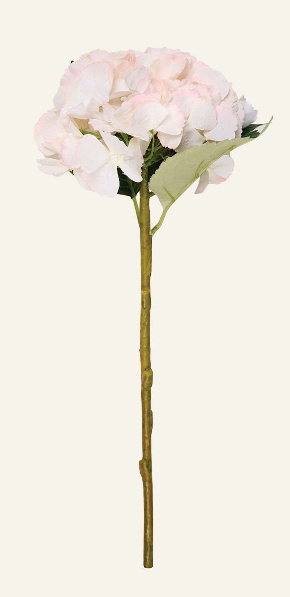 Blume Hellrosa - 18x18x46 cm Hellrosa - 1