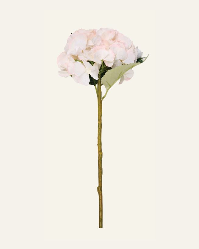 Blume Hellrosa - 18x18x46 cm Hellrosa - 1