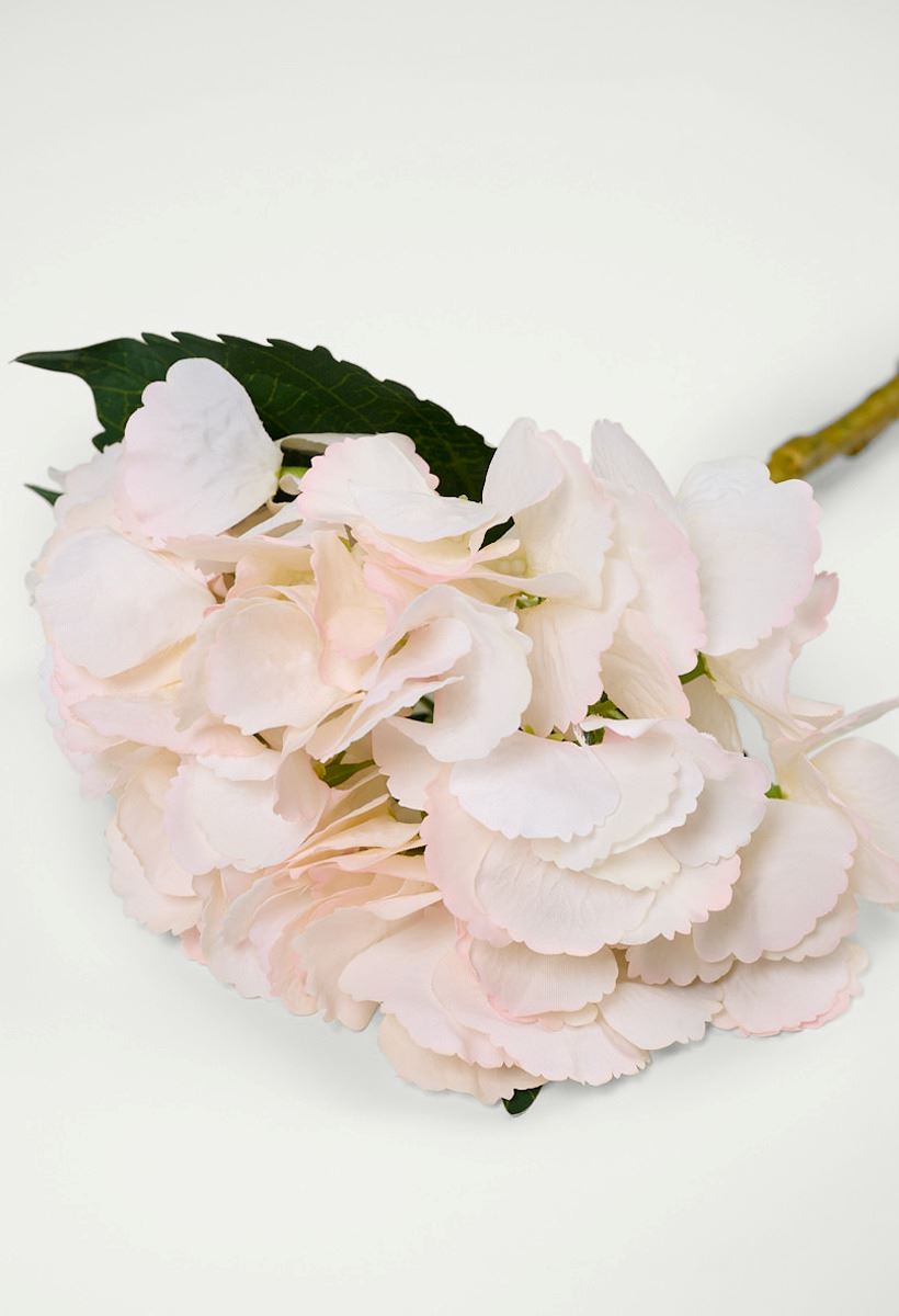 Blume Hellrosa - 2