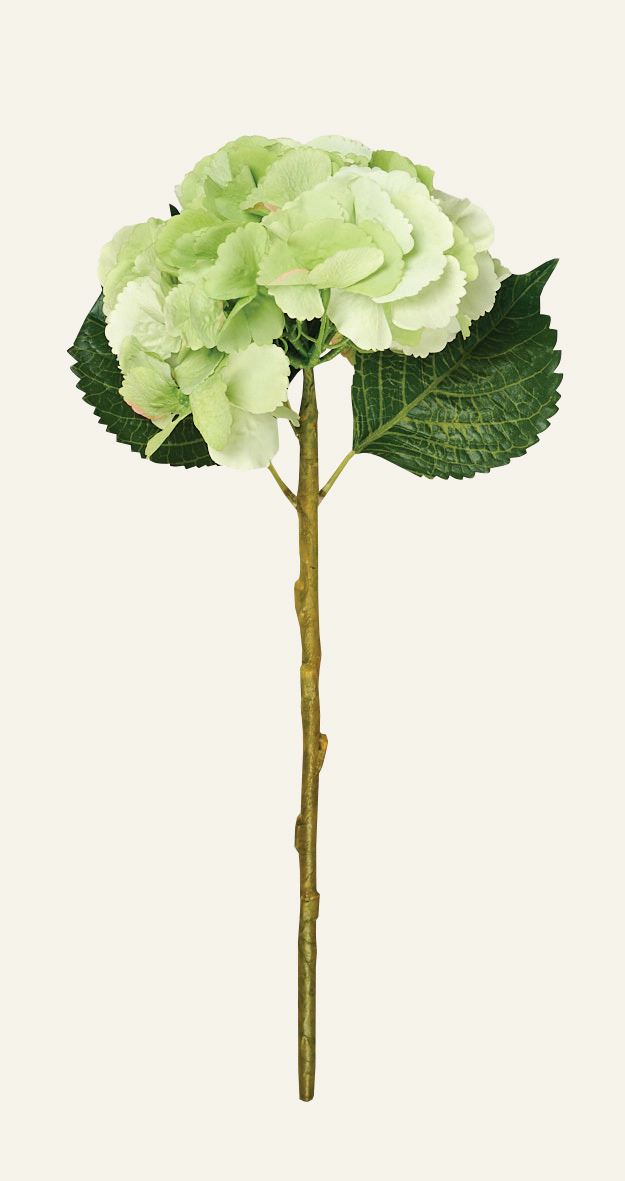 Blume Grün - 18x18x46 cm Grün - 1