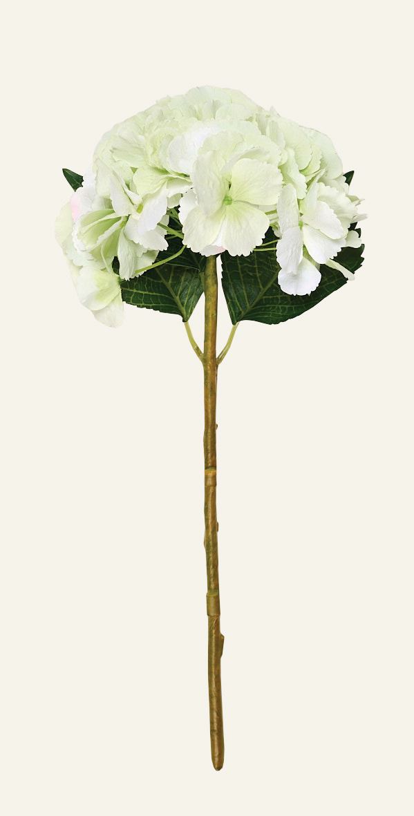 Blume Hellgrün - 18x18x46 cm Hellgrün - 1