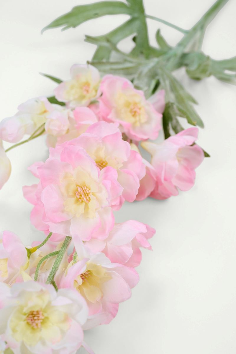 Blume Hellrosa - 2