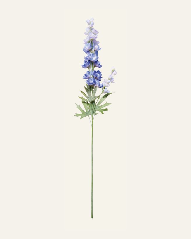 Blume Blau - 14x12x102 cm Blau - 1