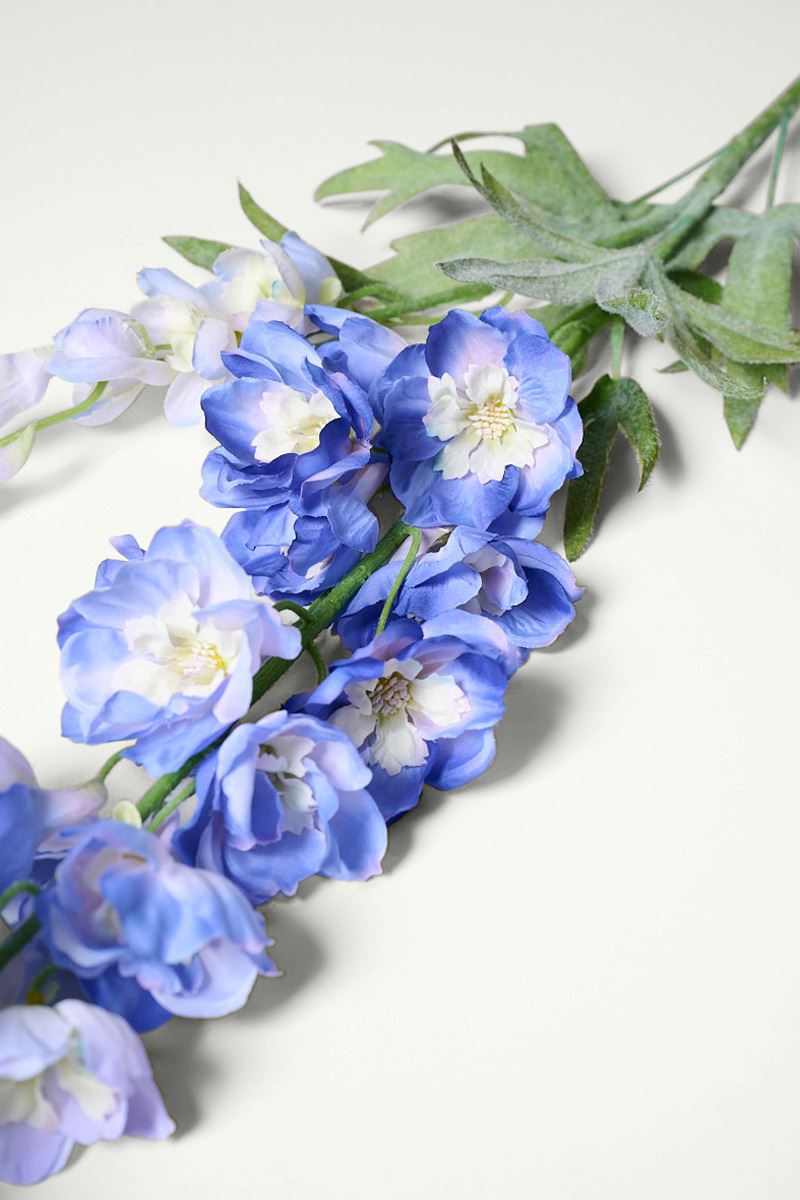 Blume Blau - 2