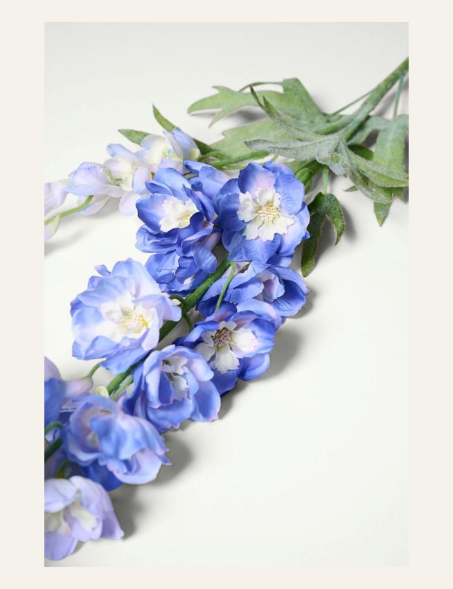 Blume Blau - 2