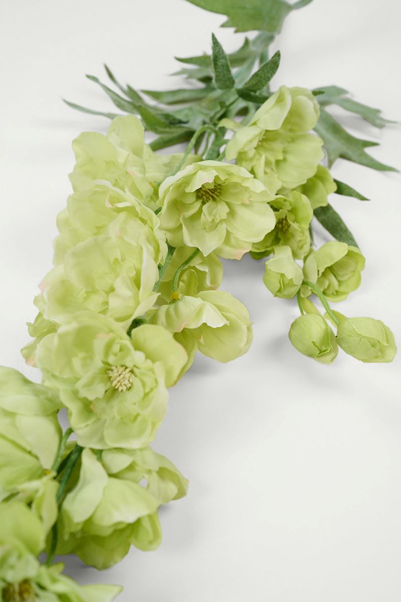 Blume Grün - 2