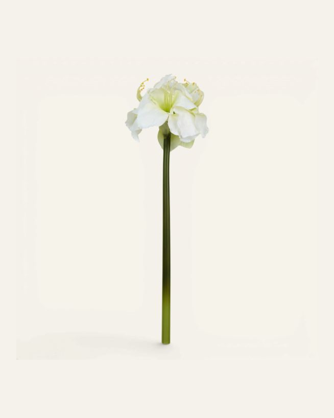 Blume Weiß - 25x22x61 cm Weiß - 1