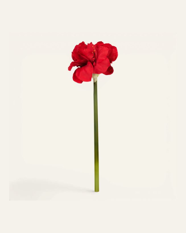 Blume Rot - 25x22x61 cm Rot - 1