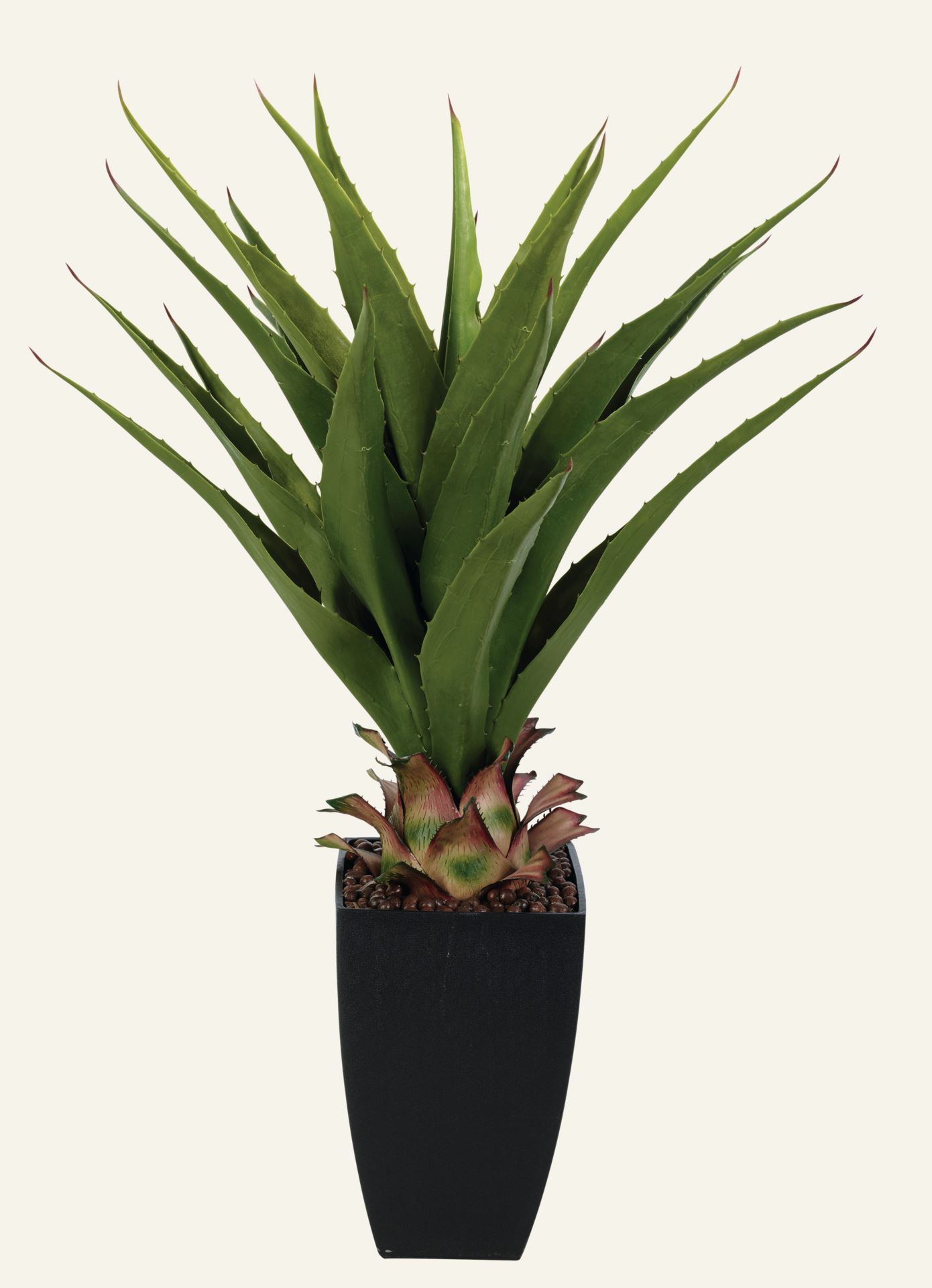 Pflanze Grün - 75 cm Grün - 1