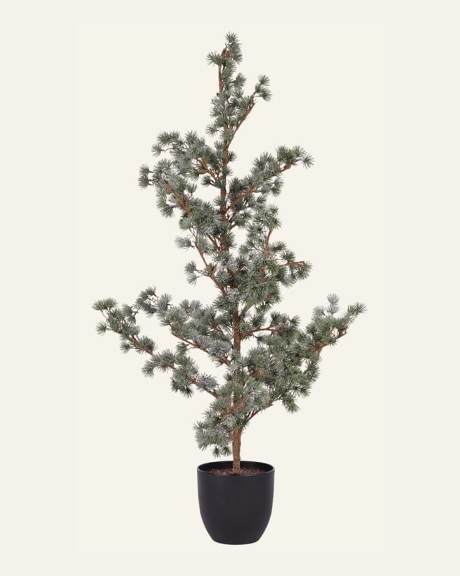 Weihnachtsbaum Grün - 50x50x113 cm Grün - 1