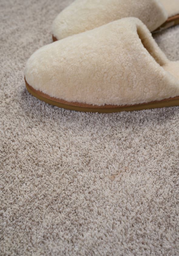 Teppich Multi/Beige - 2
