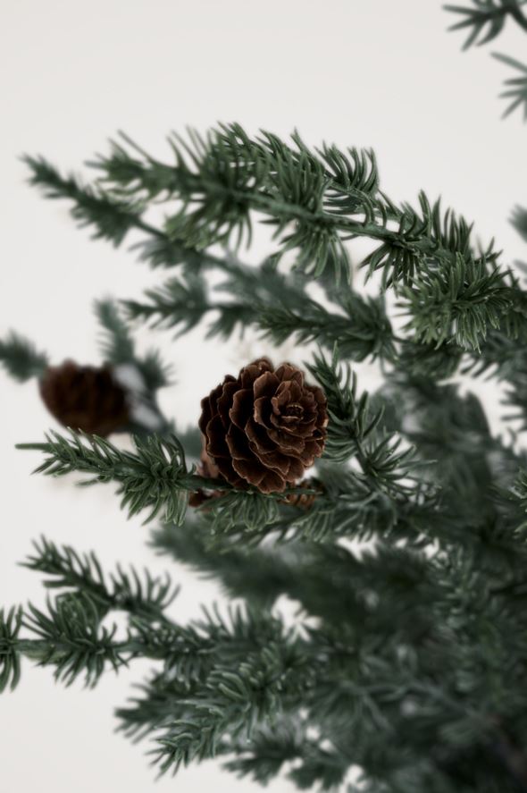 Weihnachtsbaum Multi/Grün - 2