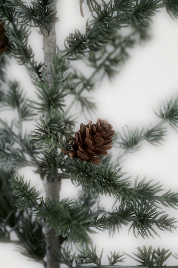 Weihnachtsbaum Multi/Grün - 3
