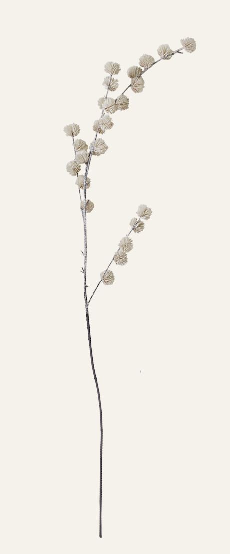 Zweig Offwhite - 116 cm Offwhite - 1