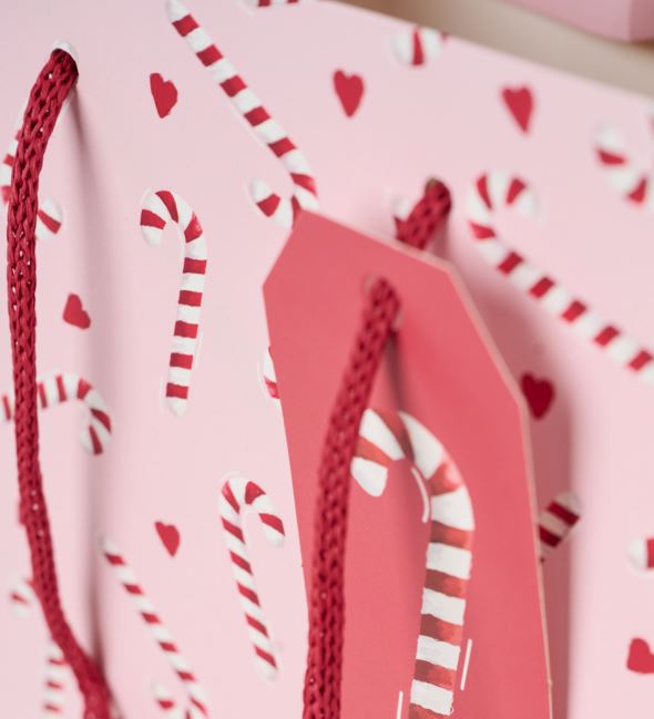 Geschenktüte Rosa - 3