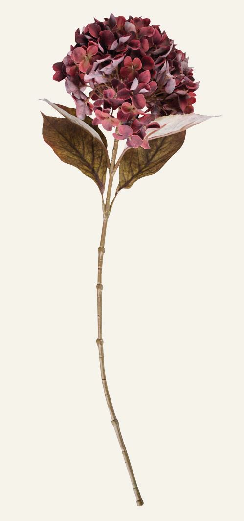 Blume Burgund - 28x17x65 cm Burgund - 1