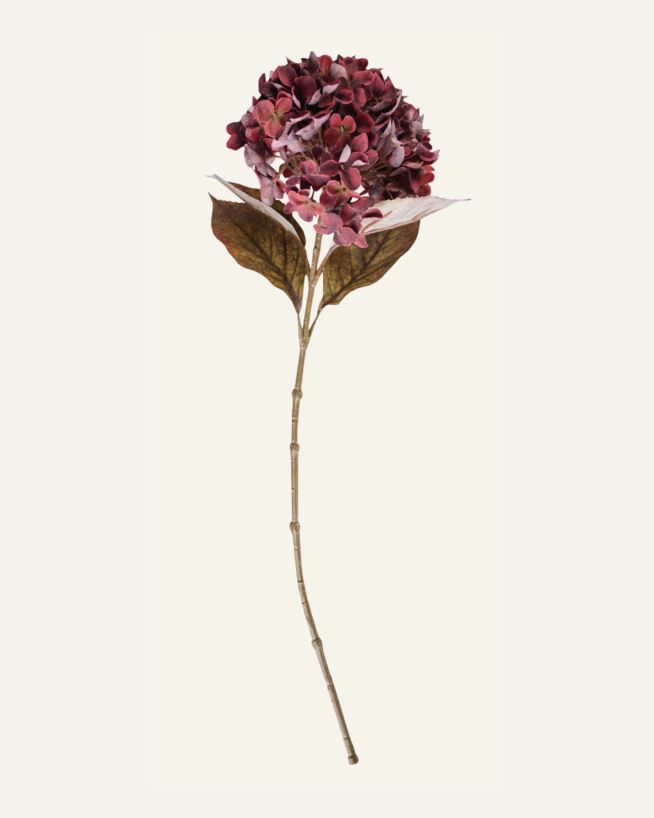 Blume Burgund - 28x17x65 cm Burgund - 1