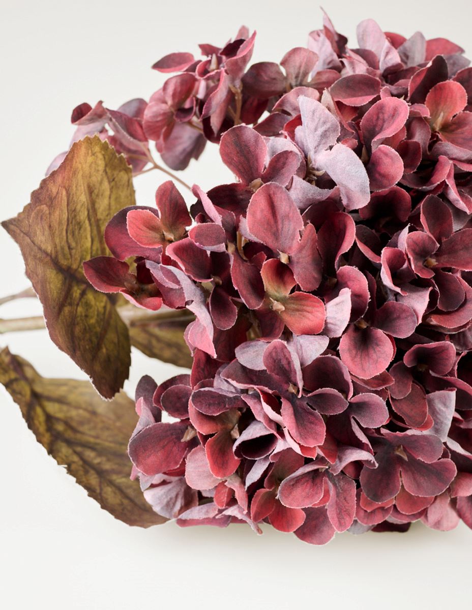 Blume Burgund - 2