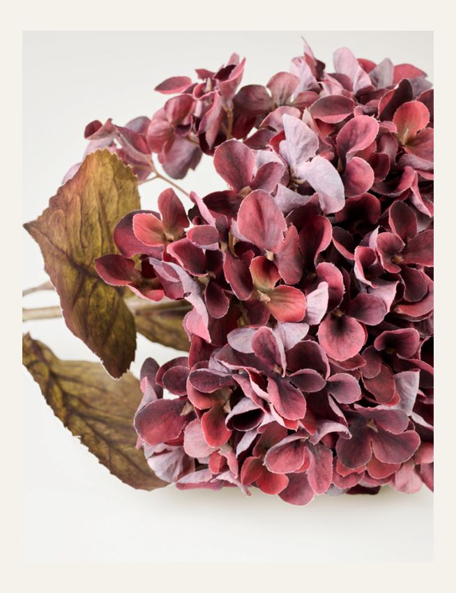 Blume Burgund - 2