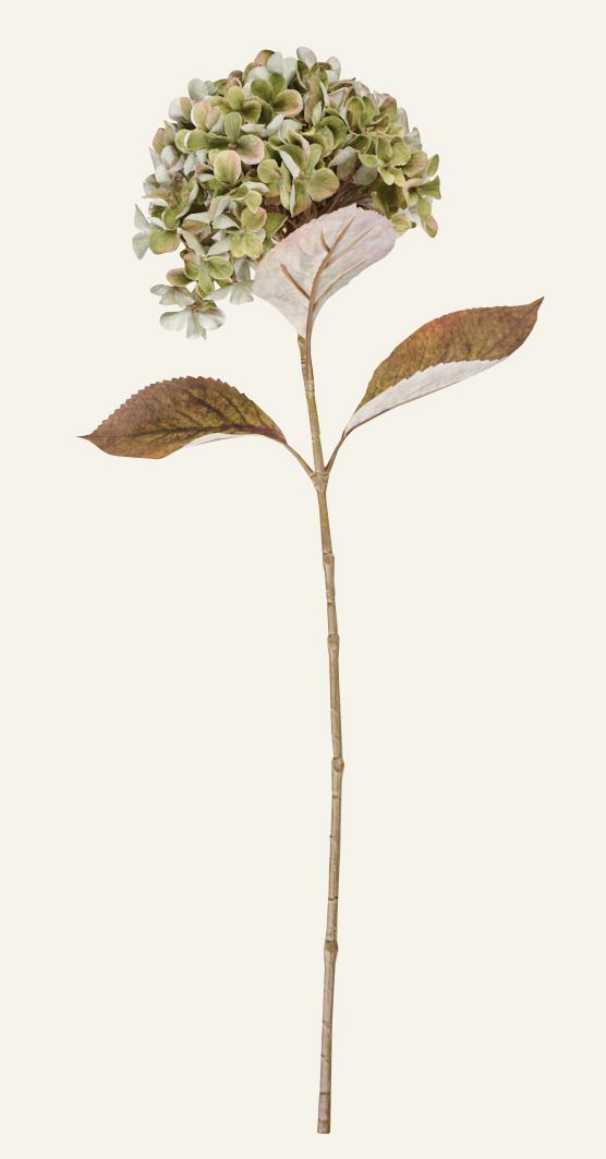 Blume Grün - 28x17x65 cm Grün - 1