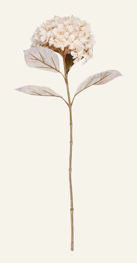 Blume Offwhite - 23x17x38 cm Offwhite - 1