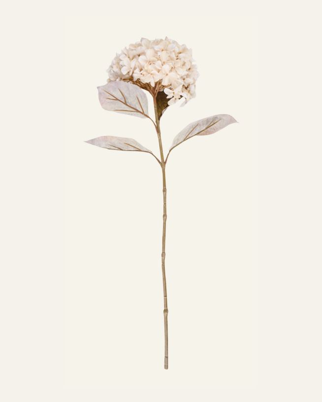 Blume Offwhite - 23x17x38 cm Offwhite - 1