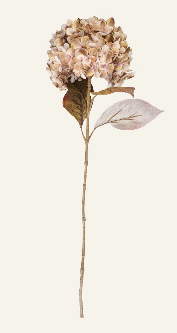 Blume Beige - 23x17x38 cm Beige - 1