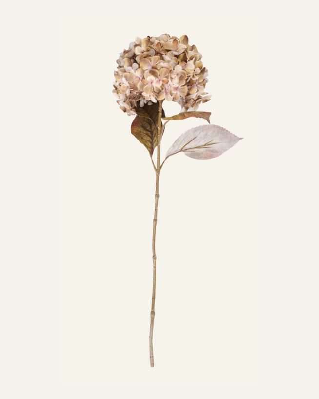 Blume Beige - 23x17x38 cm Beige - 1