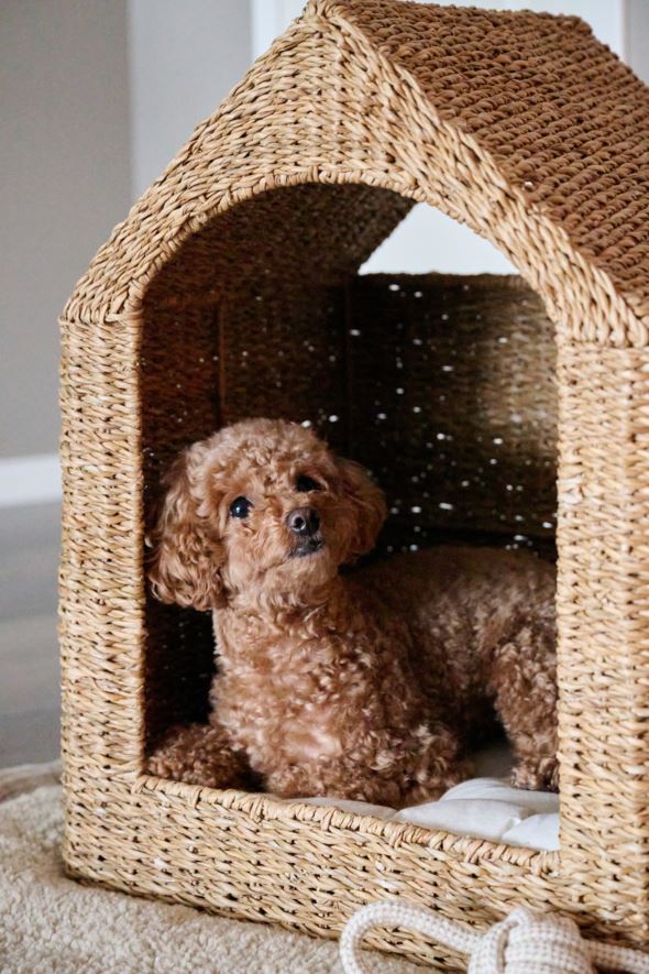 Hundebett Natur - 2