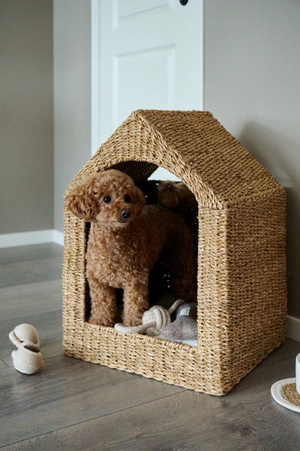 Hundebett Natur - 5