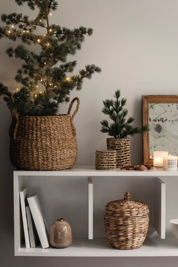 Weihnachtsbaum Grün - 4