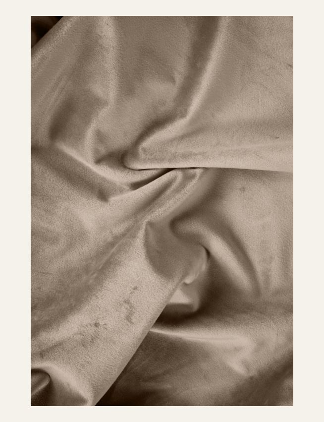 Vorhang Beige - 5