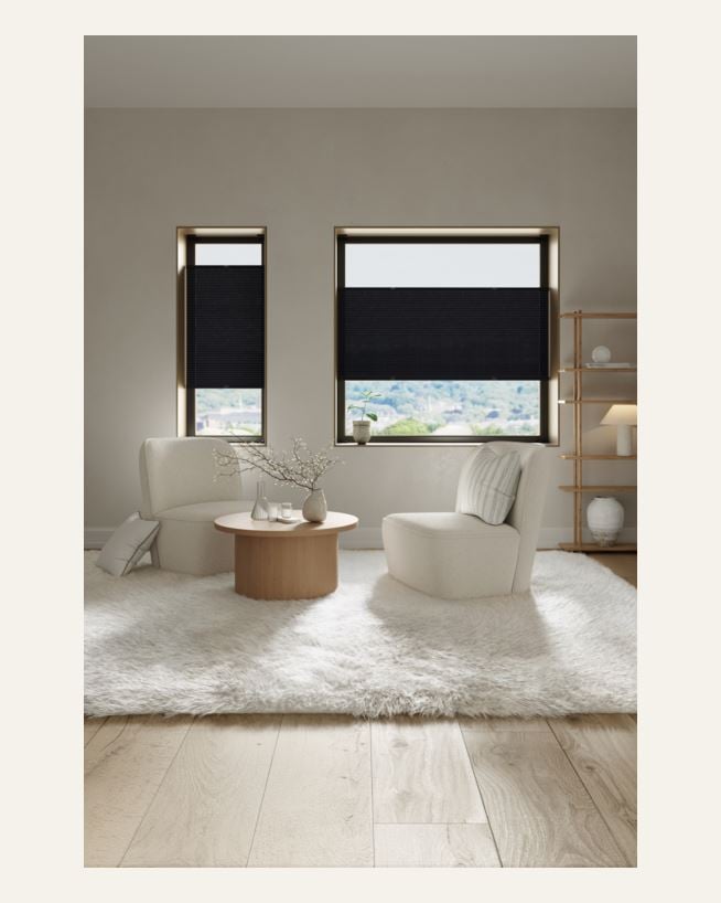 Doppelplissee-Jalousien Schwarz - 60x160 cm Schwarz - 1