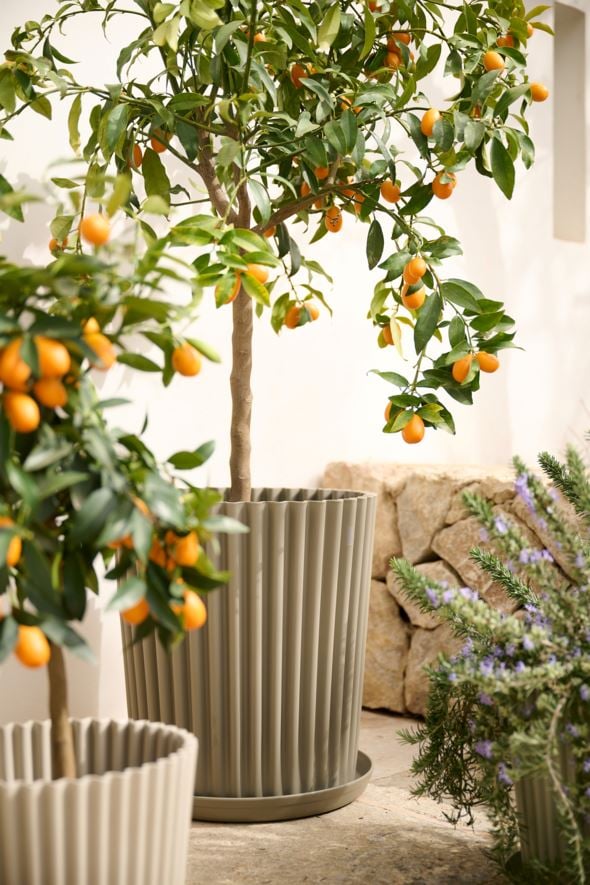 Outdoor-Blumentopf Sand - 6