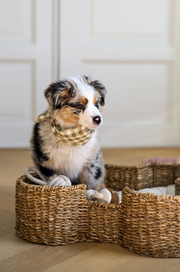 Hundebett Natur - 6