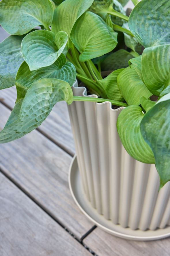 Outdoor-Blumentopf Sand - 4