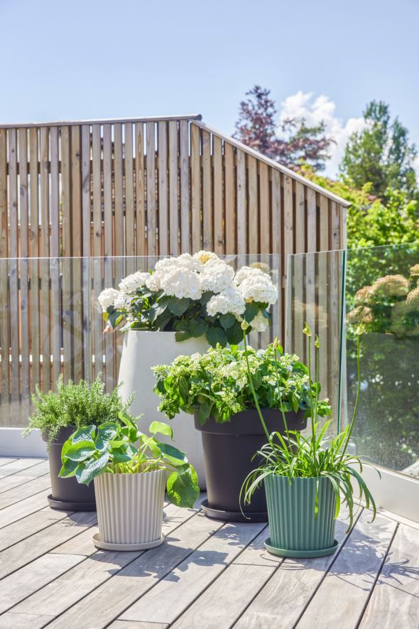 Blumentopf-Untersetzer (Außenbereich) Schwarz - 7